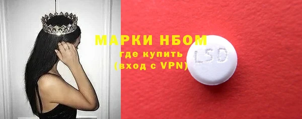 гашик Коряжма