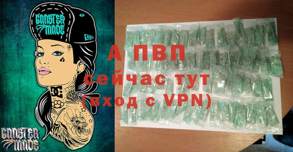 гашик Коряжма