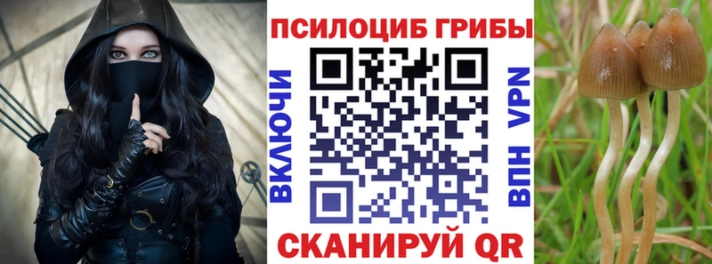 цена наркотик  Черепаново  kraken tor  Галлюциногенные грибы MAGIC MUSHROOMS 
